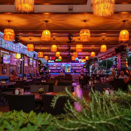 Kleopatra Blue Hawai